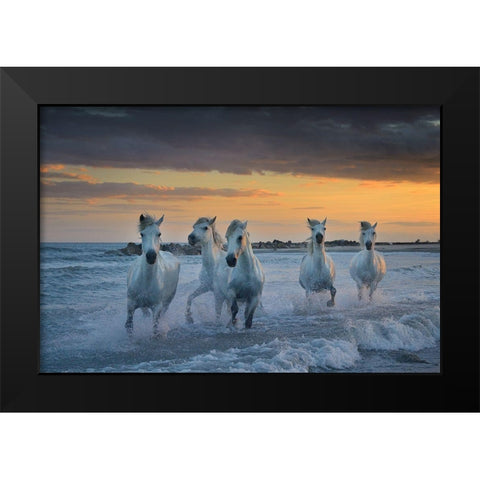 In The Waves Black Modern Wood Framed Art Print by Vekemans, Muriel