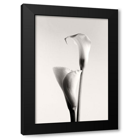 Calla Black Modern Wood Framed Art Print with Double Matting by Hanchevici, Calin