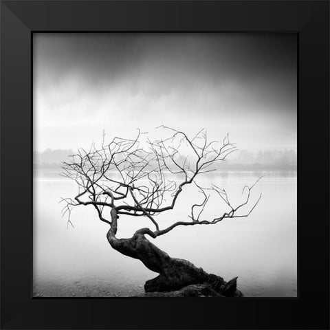 Root To Branches Black Modern Wood Framed Art Print by Digalakis, George