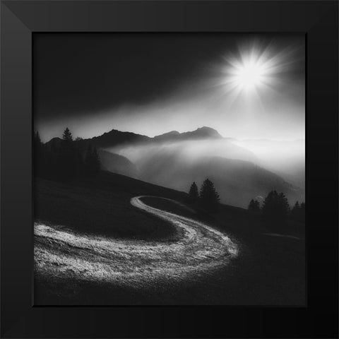 Elan Black Modern Wood Framed Art Print by Schulz, Alexej