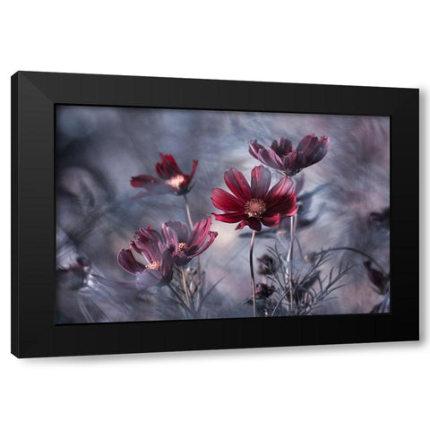 Cosmoslicious Black Modern Wood Framed Art Print with Double Matting by Bravin, Fabien