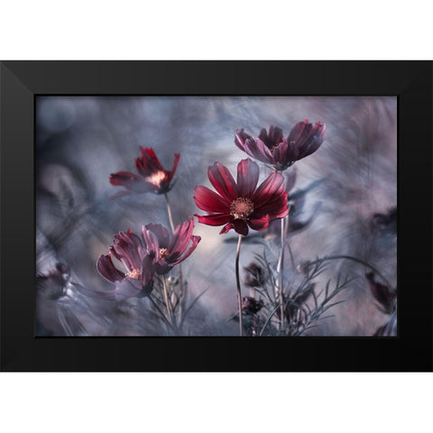 Cosmoslicious Black Modern Wood Framed Art Print by Bravin, Fabien