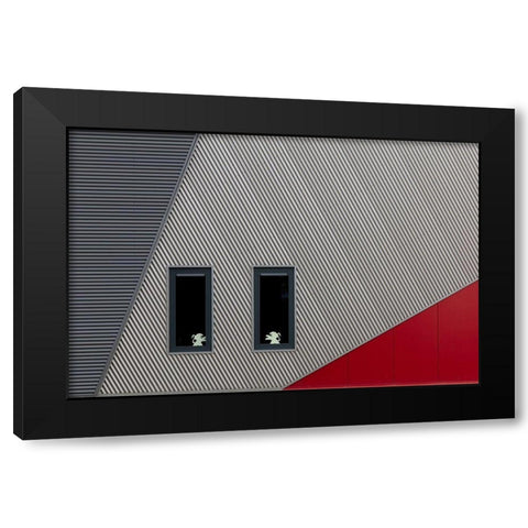 The White Lions Black Modern Wood Framed Art Print with Double Matting by Luycx, Theo