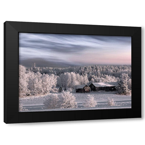 Winter Morning Black Modern Wood Framed Art Print by Emanuelson, Bjorn