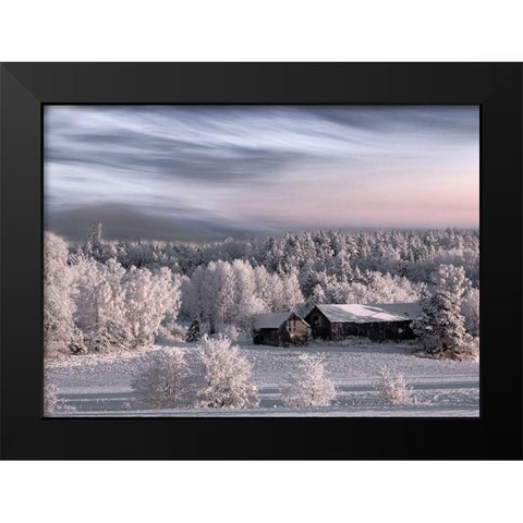 Winter Morning Black Modern Wood Framed Art Print by Emanuelson, Bjorn