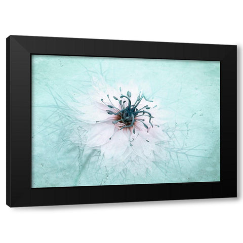 Misty Blue Black Modern Wood Framed Art Print with Double Matting by Parker, Jacky