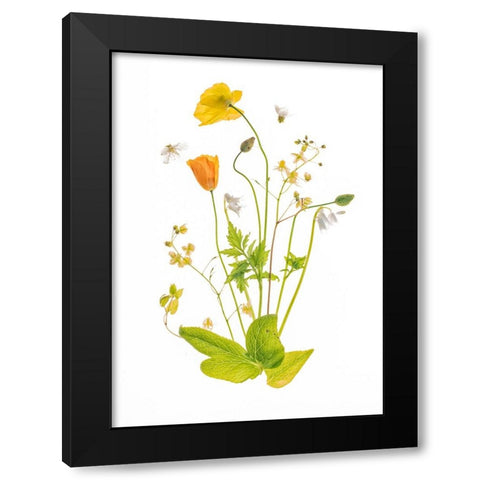 Fairy Garden Black Modern Wood Framed Art Print by Williams, Sharon