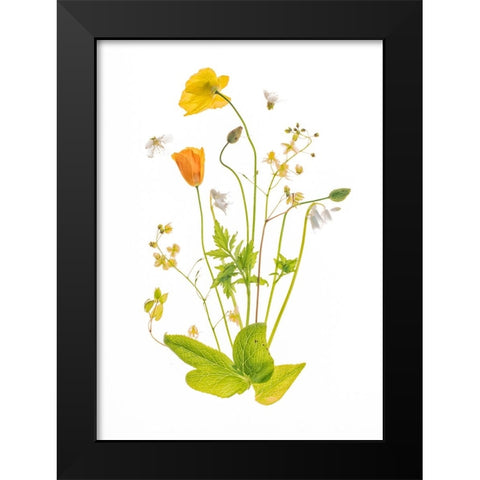 Fairy Garden Black Modern Wood Framed Art Print by Williams, Sharon