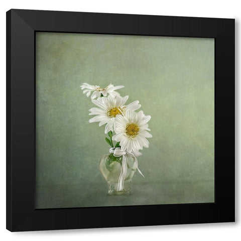 3 White Daisies Black Modern Wood Framed Art Print by Gray, Gaille