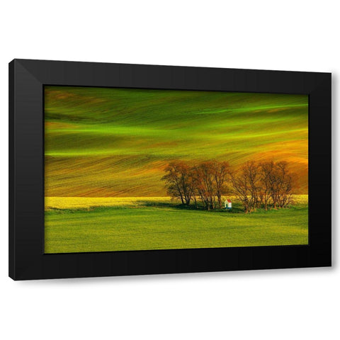 A Colorful Day Black Modern Wood Framed Art Print by Cantemir, Mandru