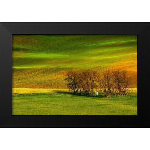 A Colorful Day Black Modern Wood Framed Art Print by Cantemir, Mandru