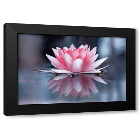 Padmasana Black Modern Wood Framed Art Print by Bravin, Fabien