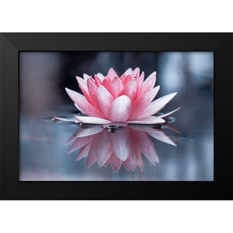 Padmasana Black Modern Wood Framed Art Print by Bravin, Fabien