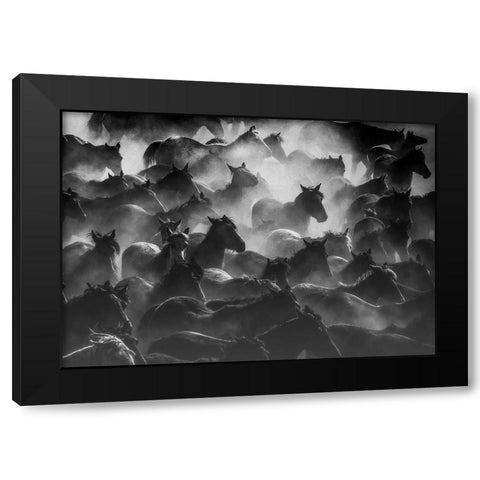 Horses 2 Black Modern Wood Framed Art Print by Nisan Kandilcioglu, Ummu