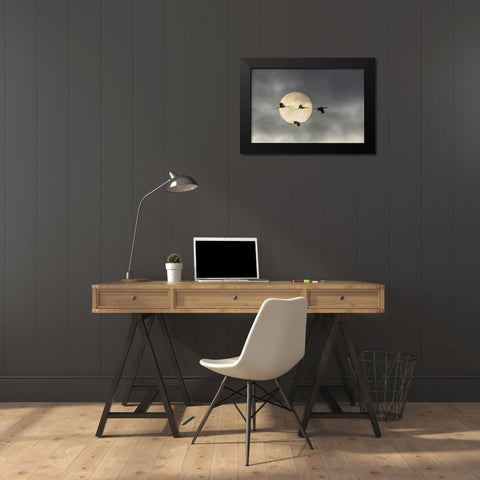 Over The Moon Black Modern Wood Framed Art Print by Fan, John