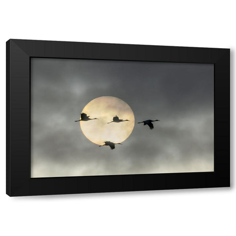 Over The Moon Black Modern Wood Framed Art Print with Double Matting by Fan, John