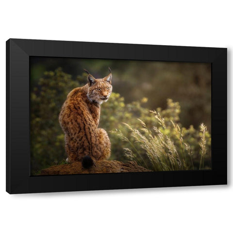 Lynx Fine Art. Black Modern Wood Framed Art Print with Double Matting by Saavedra Ruiz, Sergio