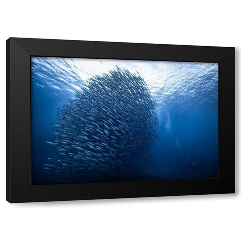 Mass Giant Black Modern Wood Framed Art Print with Double Matting by Choi, Yonghoon