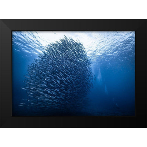 Mass Giant Black Modern Wood Framed Art Print by Choi, Yonghoon