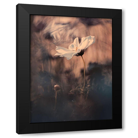 The Bride Black Modern Wood Framed Art Print by Bravin, Fabien