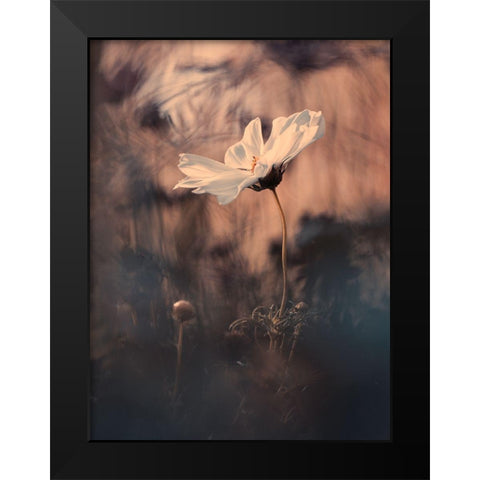 The Bride Black Modern Wood Framed Art Print by Bravin, Fabien