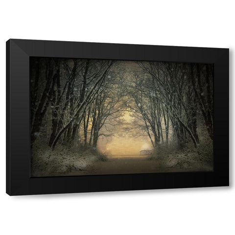 Winter Story Black Modern Wood Framed Art Print with Double Matting by Lia, Adela