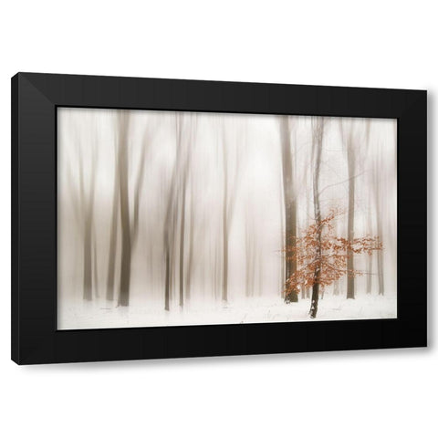 Winter Black Modern Wood Framed Art Print with Double Matting by Tinak, Igor