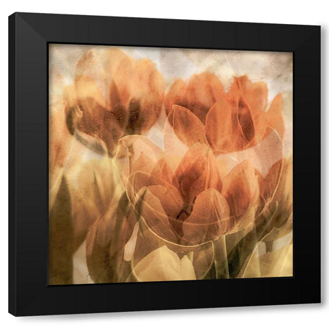 Tulips Black Modern Wood Framed Art Print by Vangindertael, Luc