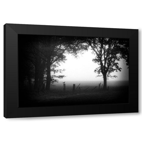 Early Bird Black Modern Wood Framed Art Print by Van Bijnen, Jacqueline