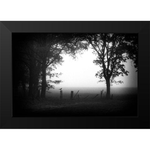 Early Bird Black Modern Wood Framed Art Print by Van Bijnen, Jacqueline