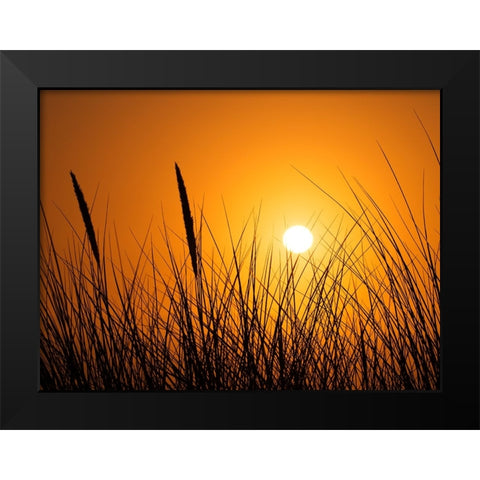 Coastal Beauty Black Modern Wood Framed Art Print by Scott Johnson, Ronald