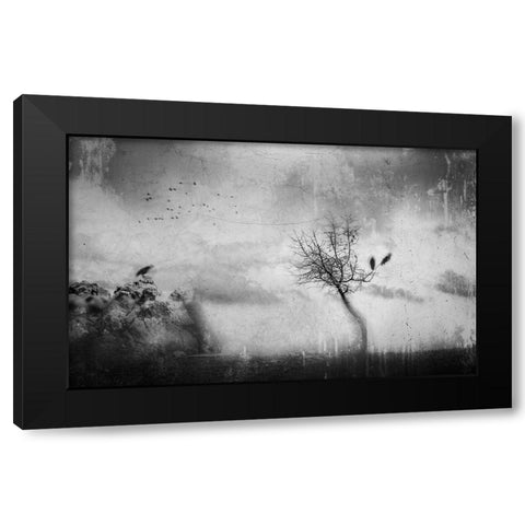 A Slowly Fading Memory Black Modern Wood Framed Art Print by Dauria, Adam