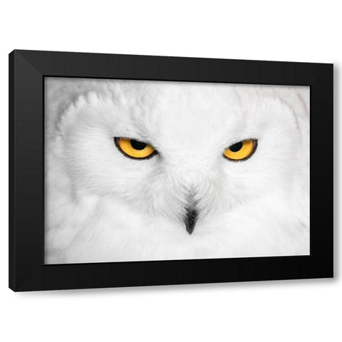 H Y P N O T I C S Black Modern Wood Framed Art Print by Fegari