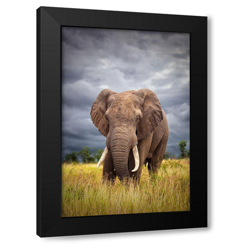 The Big Bull Black Modern Wood Framed Art Print with Double Matting by Moreno, Mario