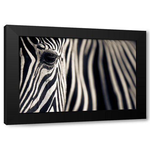 Eye A Stripes Black Modern Wood Framed Art Print by Moreno, Mario