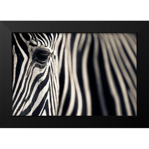 Eye A Stripes Black Modern Wood Framed Art Print by Moreno, Mario