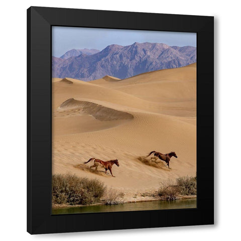 Salvation Black Modern Wood Framed Art Print with Double Matting by Fazaeli, David