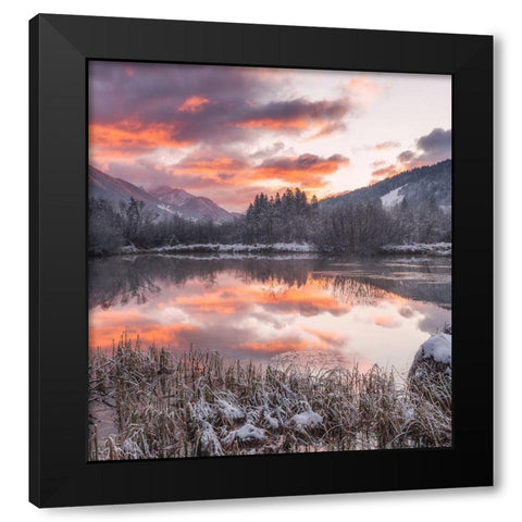 Zelenci Springs Black Modern Wood Framed Art Print by Krivec, Ales