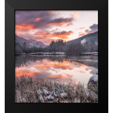 Zelenci Springs Black Modern Wood Framed Art Print by Krivec, Ales