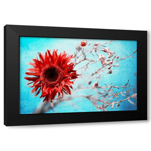 Marigold Black Modern Wood Framed Art Print with Double Matting by Kreiten, Mike