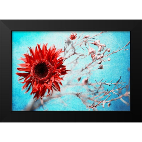 Marigold Black Modern Wood Framed Art Print by Kreiten, Mike