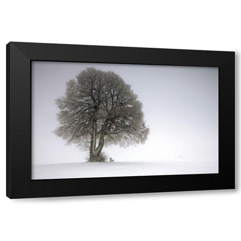 Winter Tree Black Modern Wood Framed Art Print with Double Matting by Irmawarth