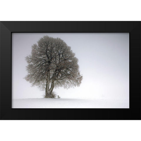 Winter Tree Black Modern Wood Framed Art Print by Irmawarth