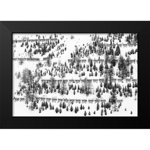 Trees And Fences Black Modern Wood Framed Art Print by Hermann, Uschi