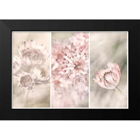 Untitled Black Modern Wood Framed Art Print by Davidsson, Gustav