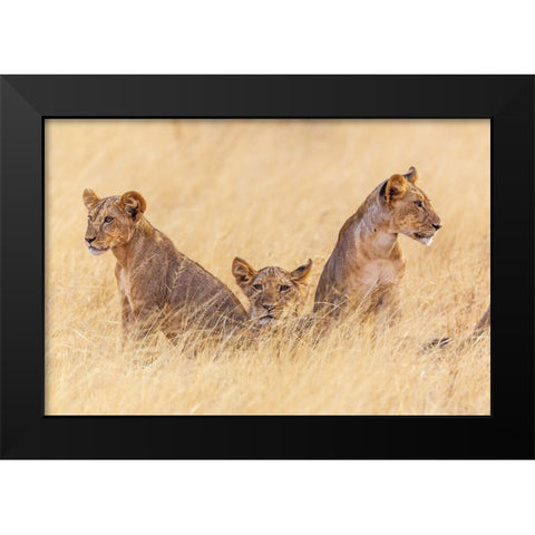 Future Patriarchs Black Modern Wood Framed Art Print by C. Sink, Jeffrey