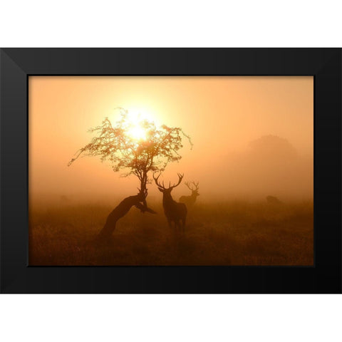 Guardians Of Light Black Modern Wood Framed Art Print by Fabrowski, Robert