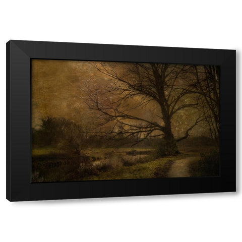 Old Tree Black Modern Wood Framed Art Print with Double Matting by Talen, Nel