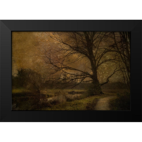 Old Tree Black Modern Wood Framed Art Print by Talen, Nel