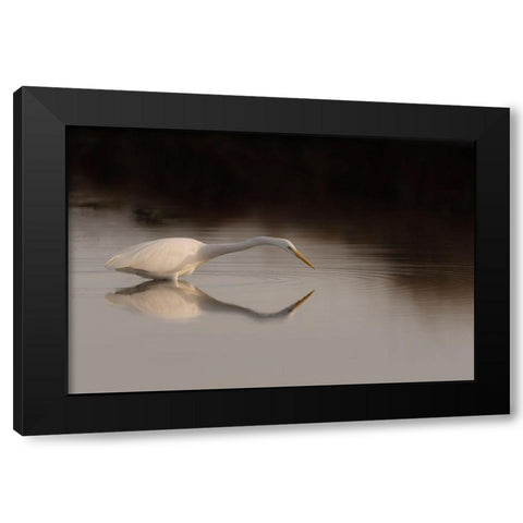 Search Mode Black Modern Wood Framed Art Print by Forner Rodriguez, Joaquin